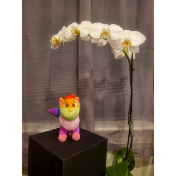 Neopets Rainbow Wocky Plushie Y2k Vintage Plush Toy - Picture 1 of 3